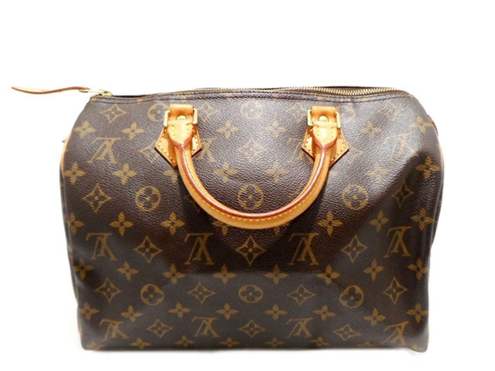 LOUIS VUITTON Speedy Bag Handbag Monogram